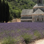 Kloster Sénanque in der Provence (2013)