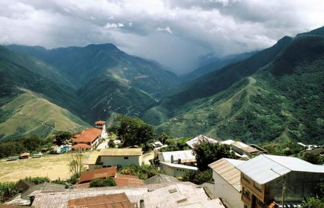 Yungas [Ostrand der Cordillera Real] bei Coroico (2005)