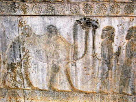 Persepolis: Apadana - Relief an der Osttreppe [Drangianer und Arachosier] (2007)