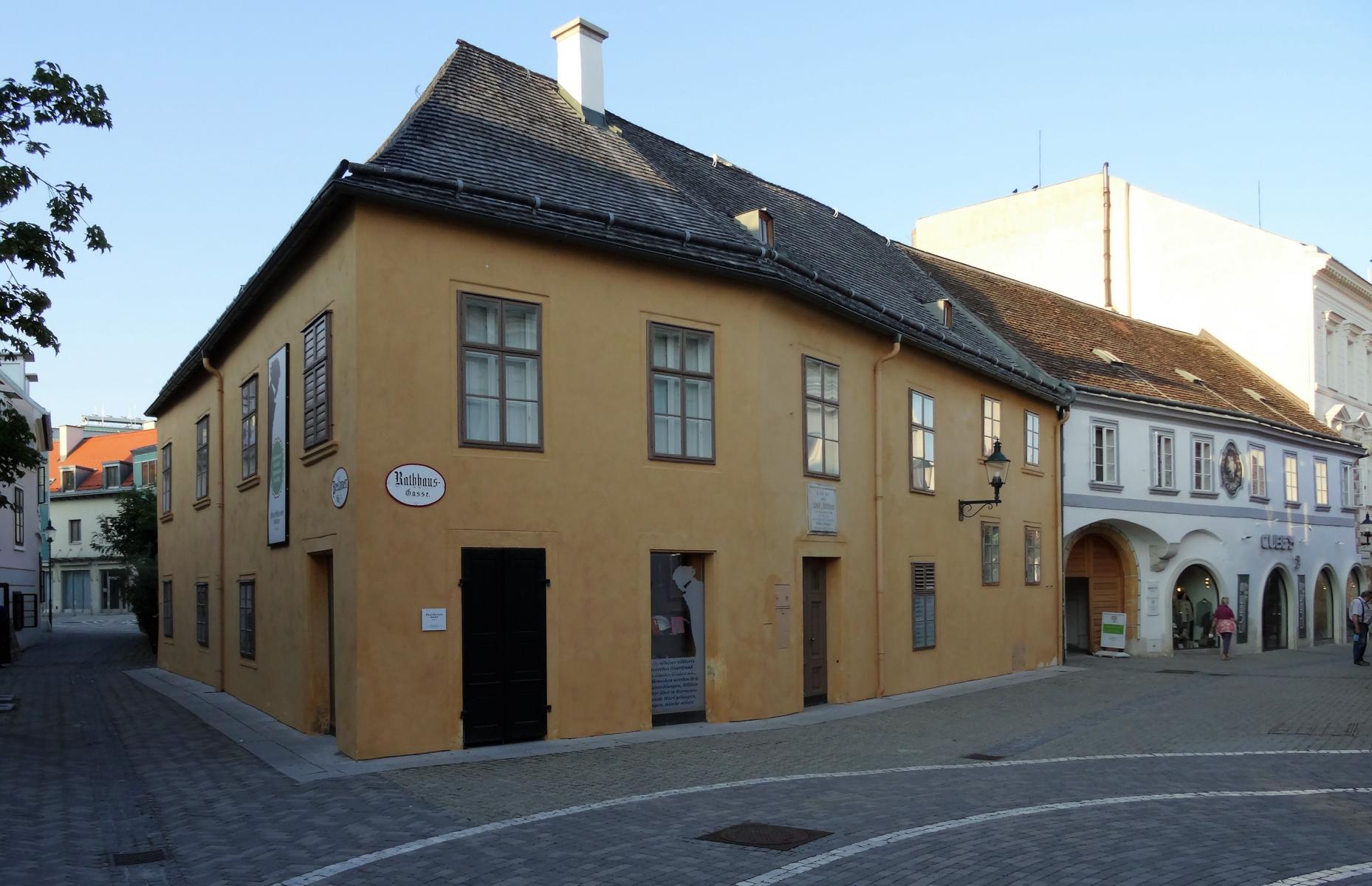 Baden: Beethovenhaus (2021)